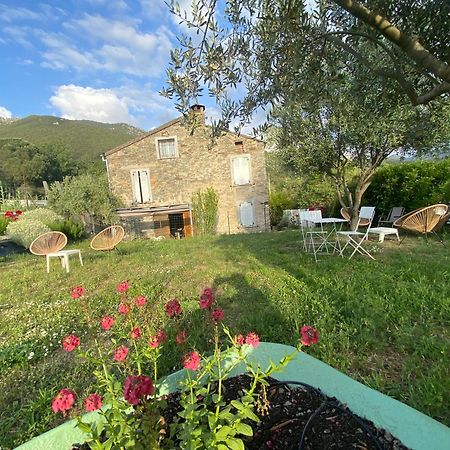 Villa Casa Orani à Morosaglia Extérieur photo