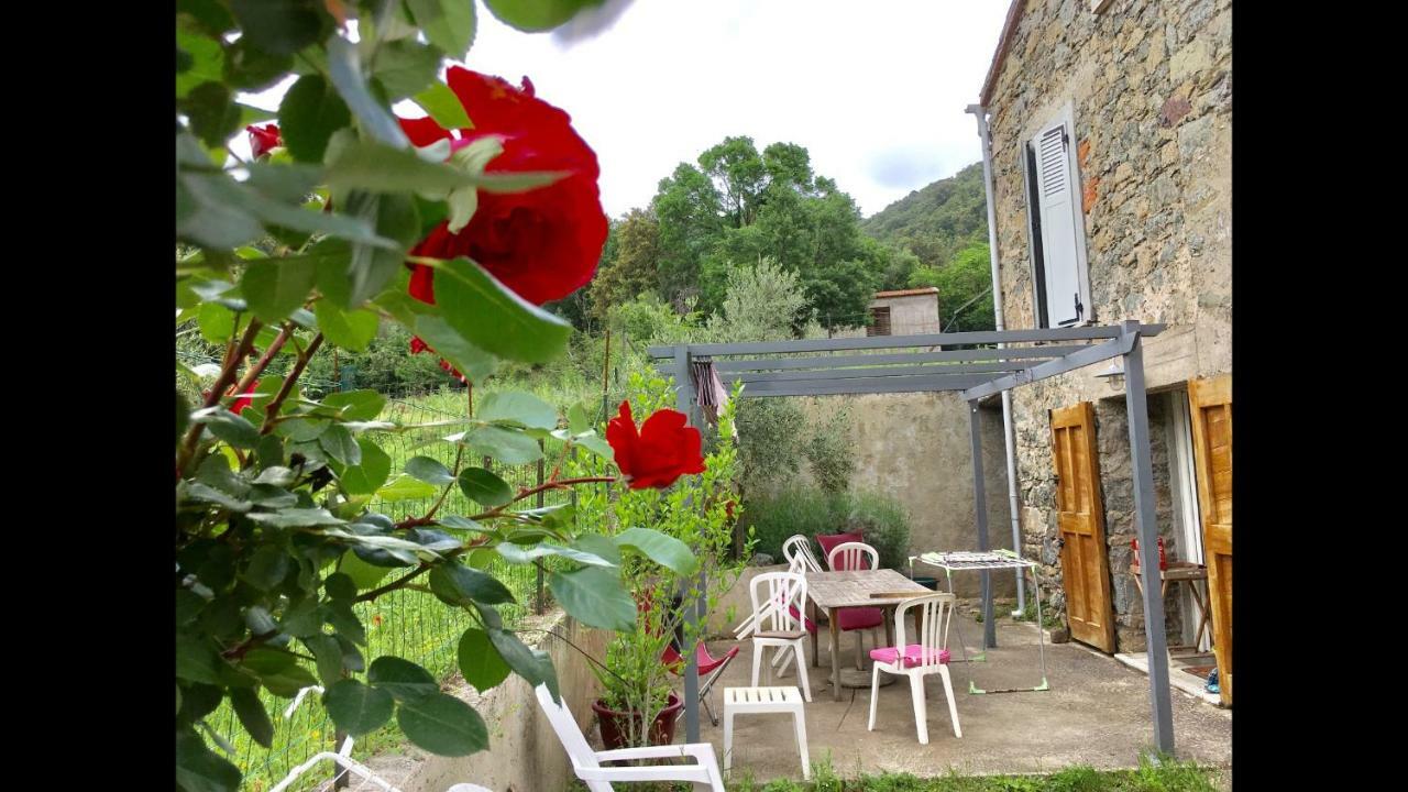 Villa Casa Orani à Morosaglia Extérieur photo
